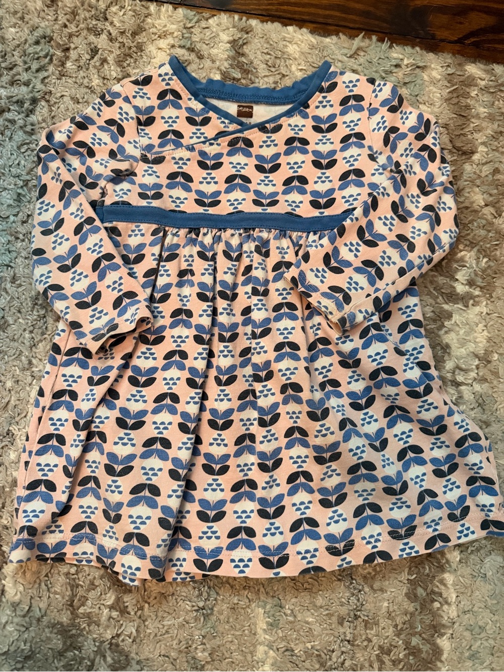 Hanna Andersson Pink Dress with Blue Floral Motif